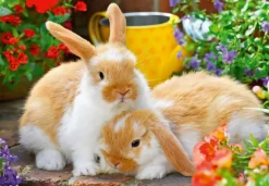 Ravensburger : Guinea Pigs & Bunnies (2 x 12)