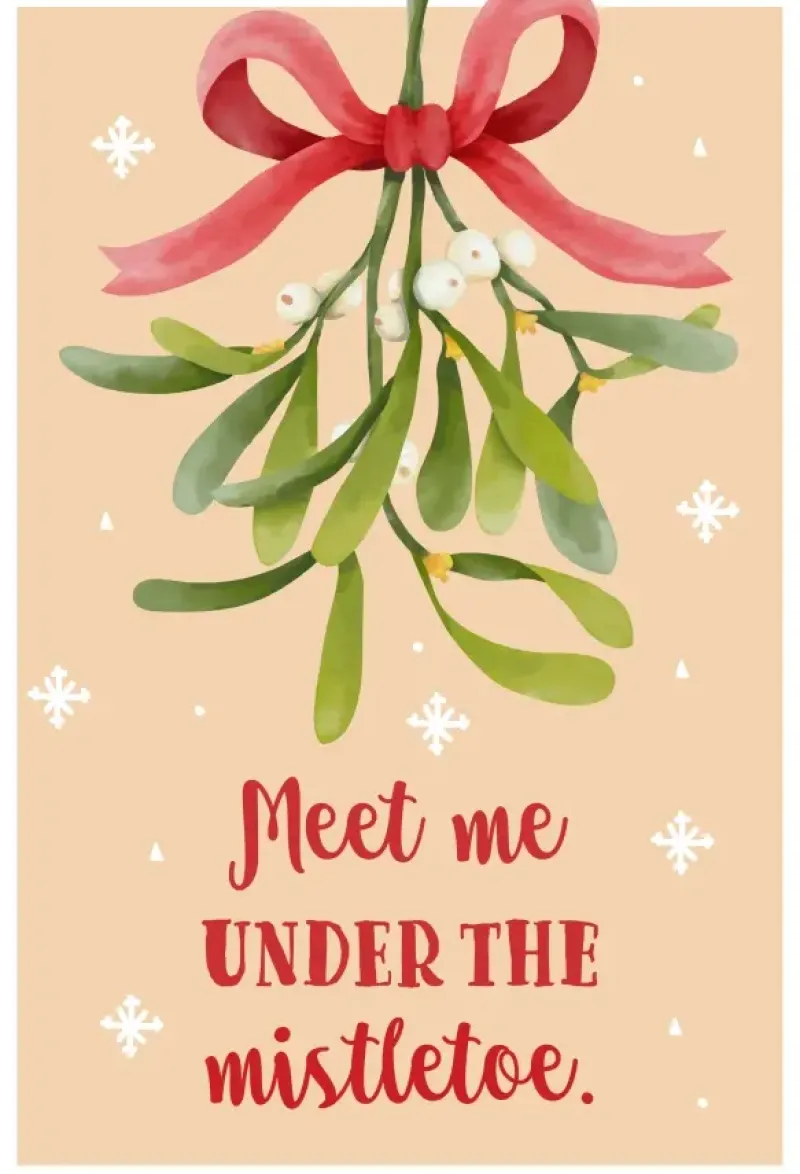 Ravensburger : Happy Holidays Mini Puzzle - Mistletoe (99)