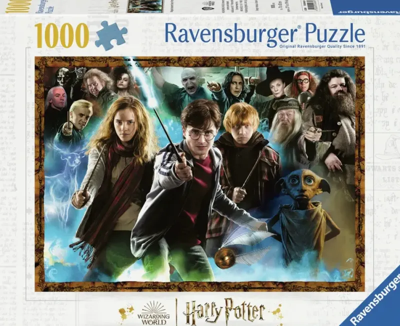 Ravensburger : Harry Potter - Magical Student Harry Potter (1000)