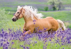 Ravensburger : Horse Friends (2 x 24)