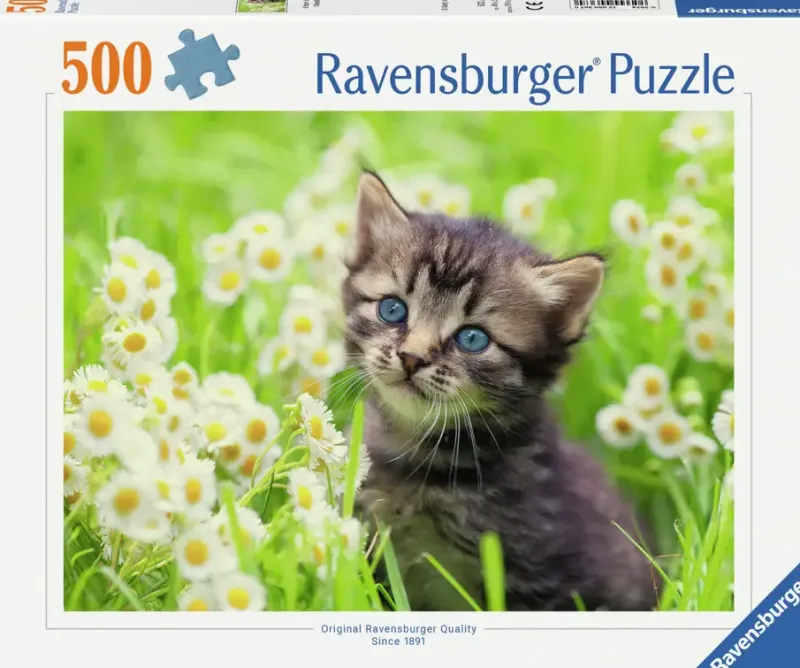 Ravensburger : Kitten in the Meadow (500)