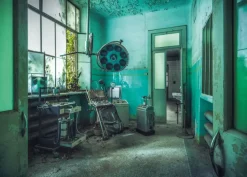 Ravensburger : Lost Places - The Asylum (1000)