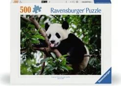 Ravensburger : Panda Bear (500)