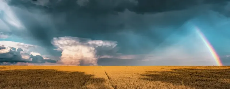 Ravensburger : Panorama, Nature Edition - Stefan Hefele, Mysterious Rainbow (1000)