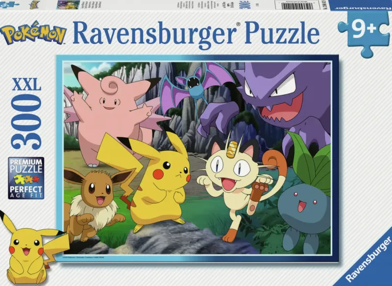 Ravensburger : Pokemon - Catch the Pokemon! (300)