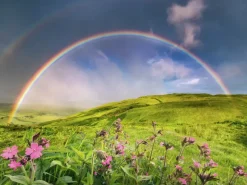 Ravensburger : Power of Nature - Stefan Hefele, Rainbowscape (1500)
