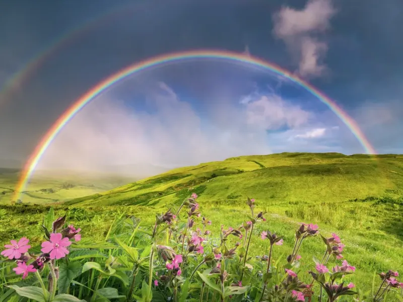 Ravensburger : Power of Nature - Stefan Hefele, Rainbowscape (1500)