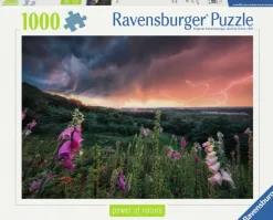 Ravensburger : Power of Nature - Stefan Hefele, Dreamy Thunder (1000)