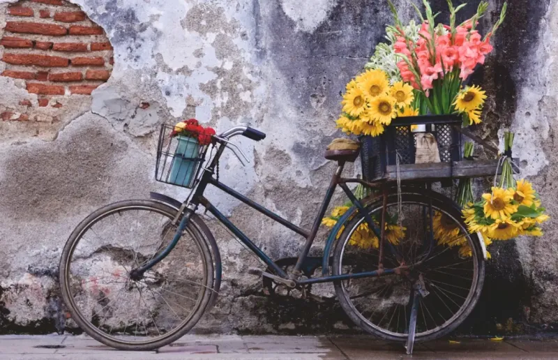Ravensburger : Puzzle Moment - Bicycle (200)