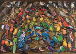 Ravensburger : Rainbow of Birds (1000)