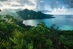 Ravensburger : Stefan Hefele - Hawaiian Viewpoint (5000)