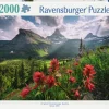 Ravensburger : Stefan Hefele - Pristine Mountains (2000)