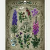 Ravensburger : Toxic Plants (1000)
