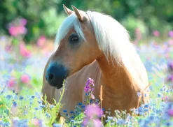 Ravensburger : Wildflower Pony (300)