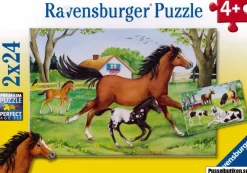 Ravensburger : World of Horses (2 x 24)