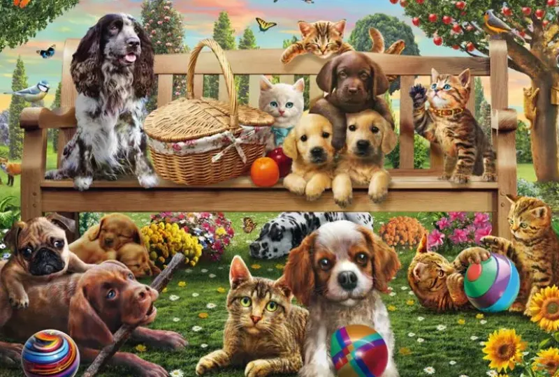 Schmidt : A Garden Picnic for Dogs and Cats (200)