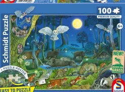 Schmidt : Animals in a Night-time Forest (100)