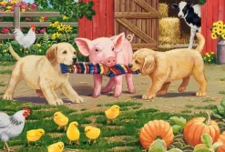 Schmidt : Animals on the Farm (3 x 48)