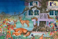 Schmidt : Animal Visit by Night (100)