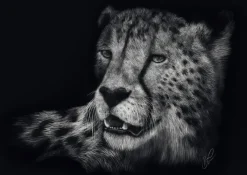 Schmidt : Ashley Rader - Speed, Cheetah - The Epitome of Grace (1000)