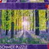 Schmidt : Assaf Frank - Tranquil Bluebell Woods (1000)