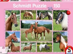 Schmidt : Beautiful Horses (150)