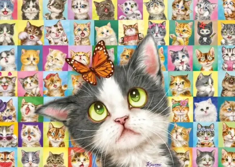 Schmidt : Cat Mimic (1000)