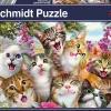 Schmidt : Cat Selfie (500)