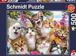 Schmidt : Cat Selfie (500)