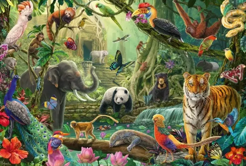 Schmidt : Colourful Jungle Wildlife (100)
