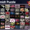 Schmidt : Floral Greeting (2000)