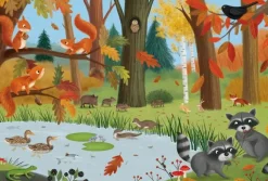 Schmidt : Forest and Meadow Animals (3 x 24)