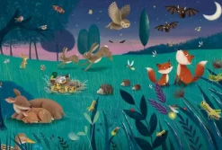 Schmidt : Forest and Meadow Animals (3 x 24)