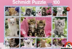 Schmidt : Kittens (100)