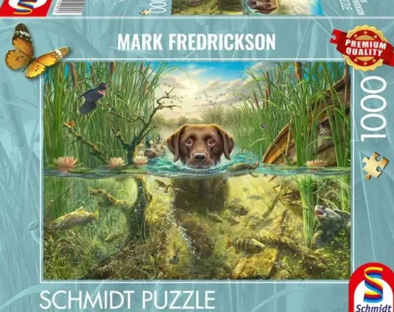 Schmidt : Mark Fredrickson - A Chocolate Labrador Takes a Cool Dip (1000)