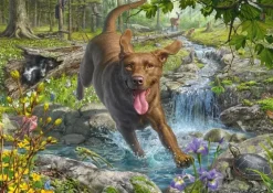 Schmidt : Mark Fredrickson - Springtime Cavorting with a Labrador Retriever (1000)