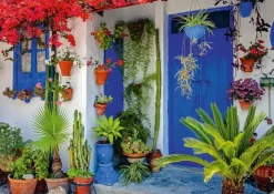 Schmidt : Mediterranean Door (1000)