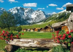 Schmidt : Mountain Paradise (1000)