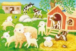 Schmidt : My Farmyard Friends (3 x 24)