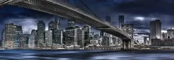 Schmidt : Panorama - Manfred Voss, New York Dark Night (1000)