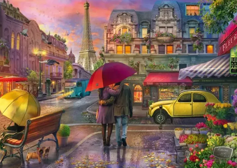 Schmidt : Parisian Charm in the Rain (500)
