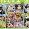 Schmidt : Puppies (200)