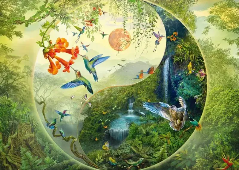 Schmidt : Silvia Christoph - Yin & Yang in the Forest of Hummingbirds (1000)