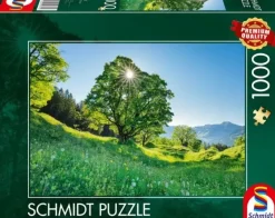 Schmidt : Sycamore Maple in the Sunlight - St. Gallen, Switzerland (1000)