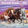 Schmidt : Trio of Wild Horses (200)