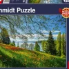 Schmidt : Tulips Flowering, Mainau Island (1000)