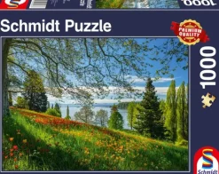Schmidt : Tulips Flowering, Mainau Island (1000)