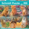 Schmidt : When I Grow Up... (200)
