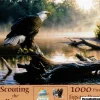 SunsOut : Scouting the River (1000)