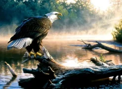 SunsOut : Scouting the River (1000)